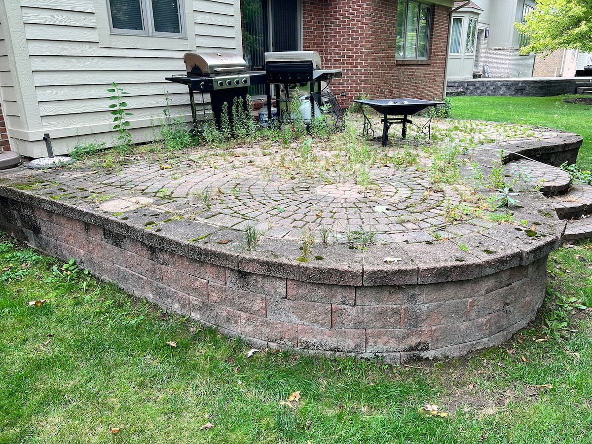 Brick paver patio polymeric sand after - Rochester MI