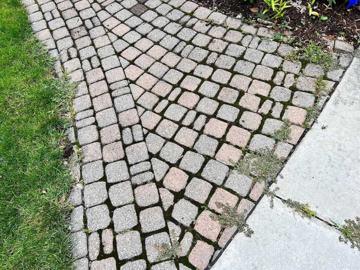 Brick patio polymeric sand before - Lake Orion MI