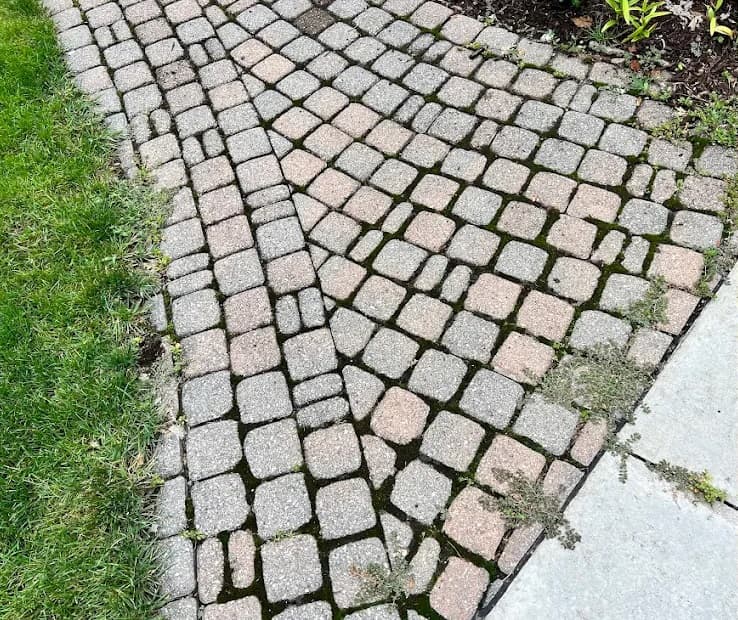 Brick paver cleaning before - Rochester Hills MI